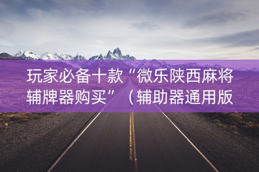 玩家必备十款“微乐陕西麻将辅牌器购买”（辅助器通用版)