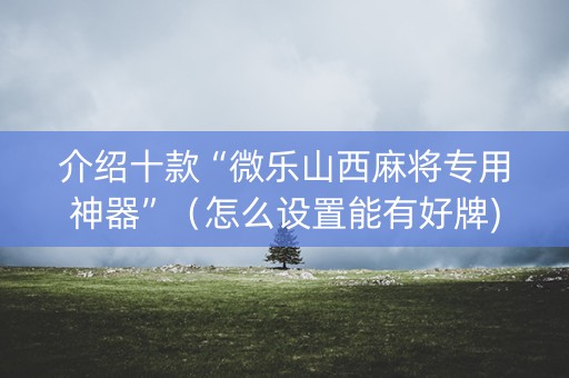 介绍十款“微乐山西麻将专用神器”（怎么设置能有好牌)
