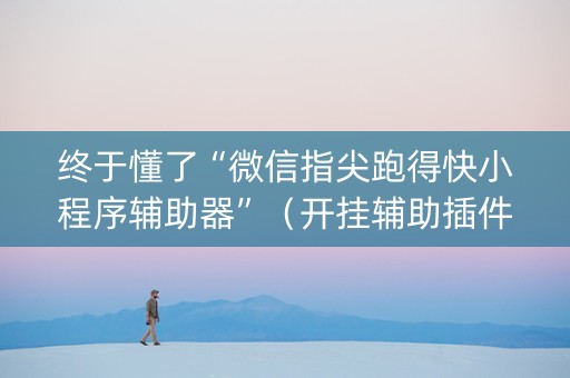 终于懂了“微信指尖跑得快小程序辅助器”（开挂辅助插件)