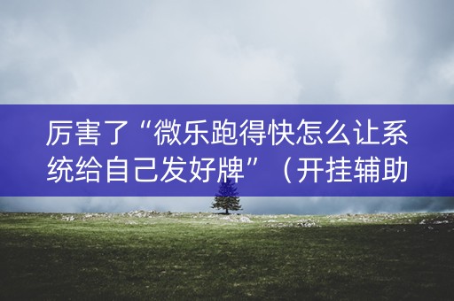 厉害了“微乐跑得快怎么让系统给自己发好牌”（开挂辅助器脚本)