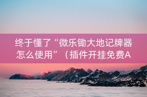 终于懂了“微乐锄大地记牌器怎么使用”（插件开挂免费AI)