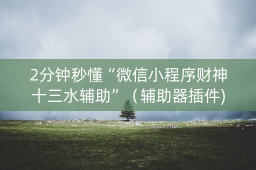2分钟秒懂“微信小程序财神十三水辅助”（辅助器插件)