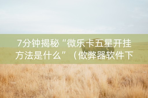 7分钟揭秘“微乐卡五星开挂方法是什么”（做弊器软件下载)