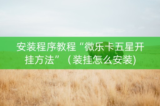 安装程序教程“微乐卡五星开挂方法”（装挂怎么安装)