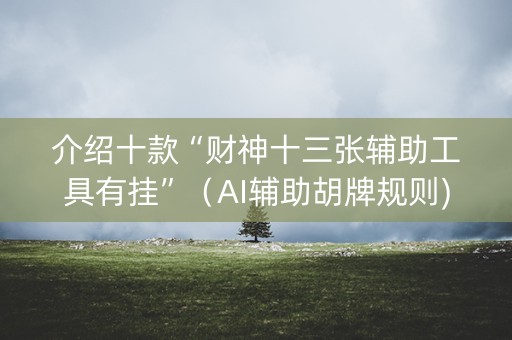 介绍十款“财神十三张辅助工具有挂”（AI辅助胡牌规则)