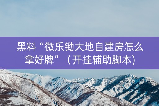 黑料“微乐锄大地自建房怎么拿好牌”（开挂辅助脚本)