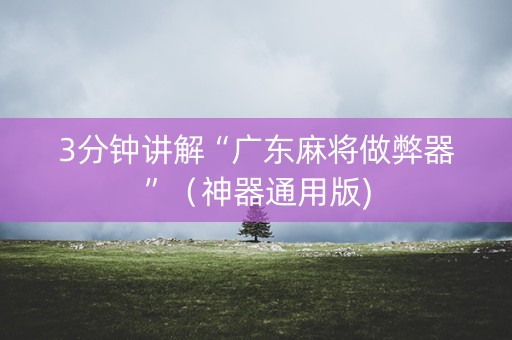 3分钟讲解“广东麻将做弊器”（神器通用版)