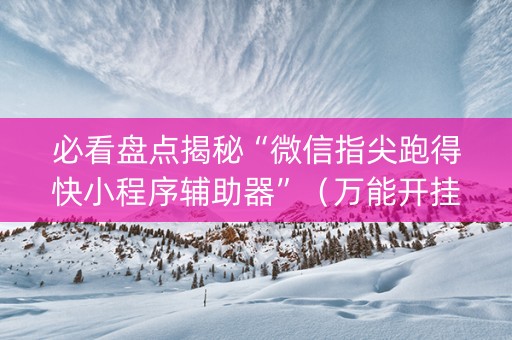 必看盘点揭秘“微信指尖跑得快小程序辅助器”（万能开挂器)