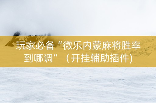 玩家必备“微乐内蒙麻将胜率到哪调”（开挂辅助插件)