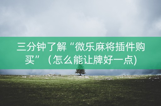 三分钟了解“微乐麻将插件购买”（怎么能让牌好一点)