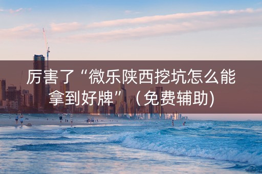 厉害了“微乐陕西挖坑怎么能拿到好牌”（免费辅助)