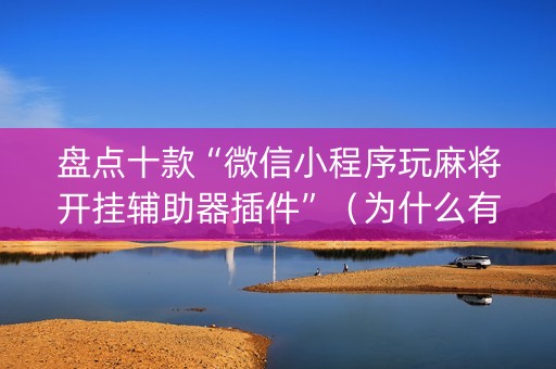 盘点十款“微信小程序玩麻将开挂辅助器插件”（为什么有人一直赢)