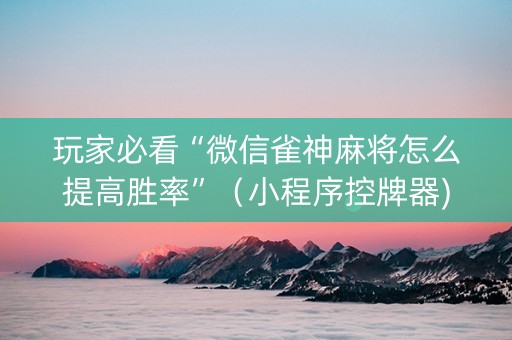 玩家必看“微信雀神麻将怎么提高胜率”（小程序控牌器)