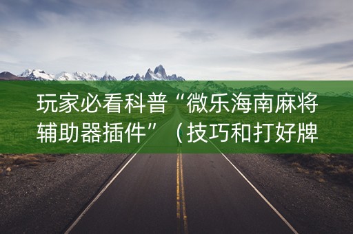 玩家必看科普“微乐海南麻将辅助器插件”（技巧和打好牌方法)