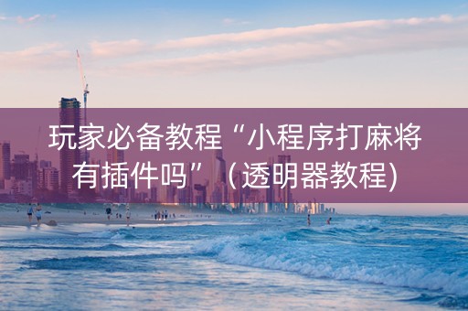 玩家必备教程“小程序打麻将有插件吗”（透明器教程)