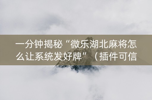 一分钟揭秘“微乐湖北麻将怎么让系统发好牌”（插件可信吗)