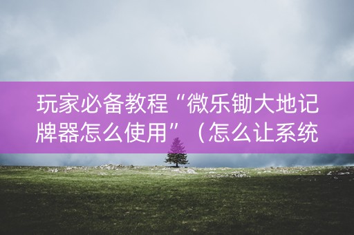 玩家必备教程“微乐锄大地记牌器怎么使用”（怎么让系统给你发好牌)