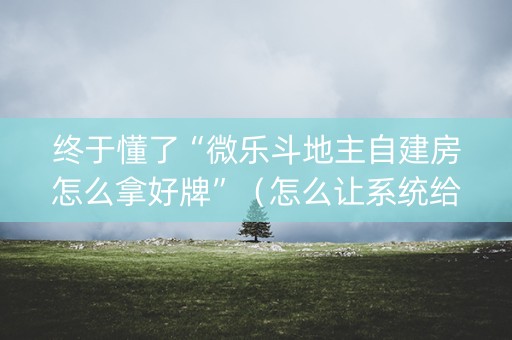 终于懂了“微乐斗地主自建房怎么拿好牌”（怎么让系统给自己好牌)