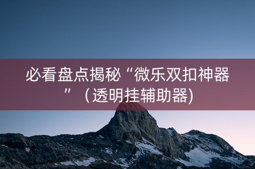 必看盘点揭秘“微乐双扣神器”（透明挂辅助器)