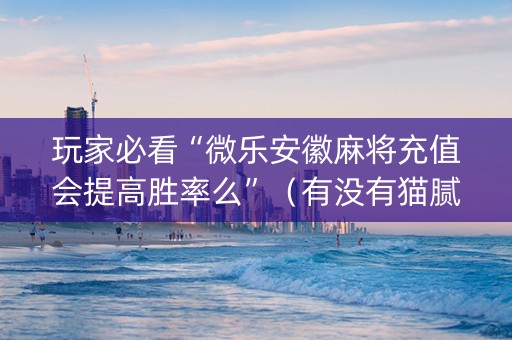 玩家必看“微乐安徽麻将充值会提高胜率么”（有没有猫腻)