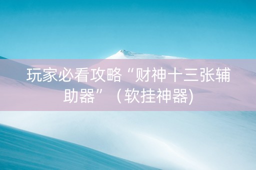 玩家必看攻略“财神十三张辅助器”（软挂神器)