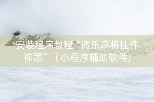 安装程序教程“微乐麻将挂件神器”（小程序辅助软件)