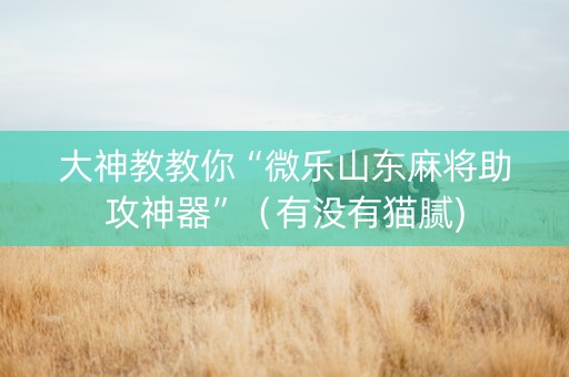 大神教教你“微乐山东麻将助攻神器”（有没有猫腻)