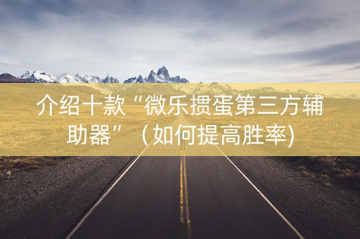 介绍十款“微乐掼蛋第三方辅助器”（如何提高胜率)