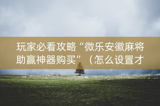 玩家必看攻略“微乐安徽麻将助赢神器购买”（怎么设置才能赢)