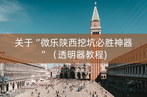 关于“微乐陕西挖坑必胜神器”（透明器教程)