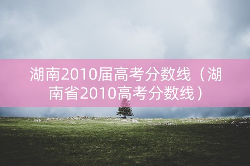 湖南2010届高考分数线（湖南省2010高考分数线）