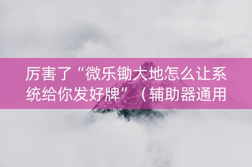 厉害了“微乐锄大地怎么让系统给你发好牌”（辅助器通用版)
