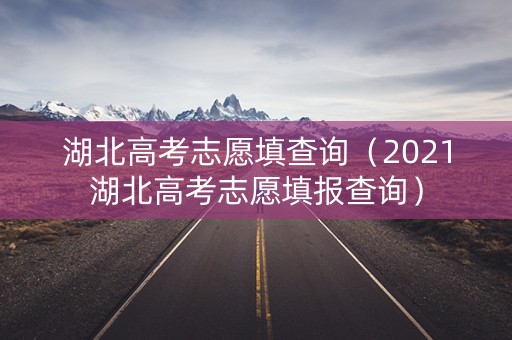 湖北高考志愿填查询（2021湖北高考志愿填报查询）