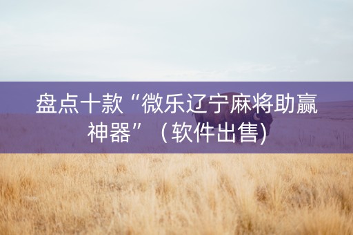 盘点十款“微乐辽宁麻将助赢神器”（软件出售)