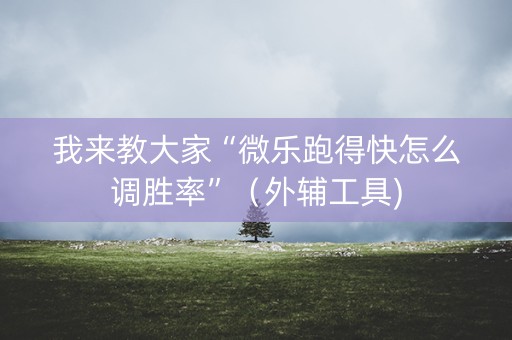 我来教大家“微乐跑得快怎么调胜率”（外辅工具)