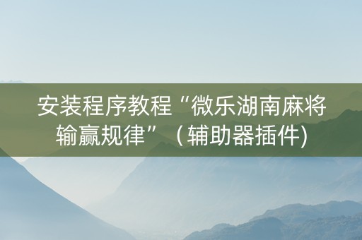 安装程序教程“微乐湖南麻将输赢规律”（辅助器插件)