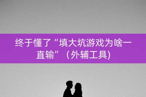 终于懂了“填大坑游戏为啥一直输”（外辅工具)