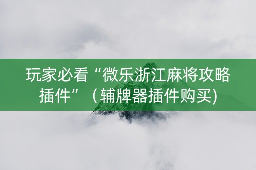 玩家必看“微乐浙江麻将攻略插件”（辅牌器插件购买)