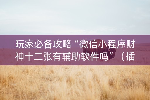 玩家必备攻略“微信小程序财神十三张有辅助软件吗”（插件可信吗)