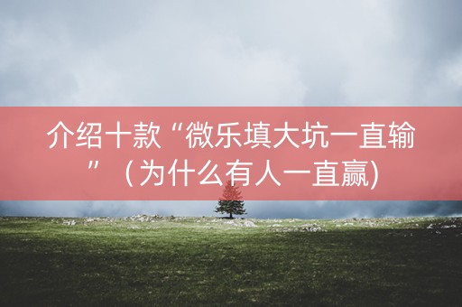 介绍十款“微乐填大坑一直输”（为什么有人一直赢)