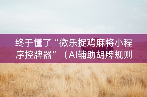 终于懂了“微乐捉鸡麻将小程序控牌器”（AI辅助胡牌规则)
