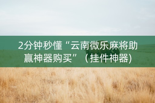 2分钟秒懂“云南微乐麻将助赢神器购买”（挂件神器)