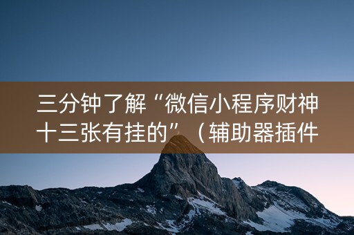 三分钟了解“微信小程序财神十三张有挂的”（辅助器插件)