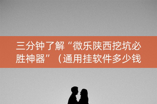 三分钟了解“微乐陕西挖坑必胜神器”（通用挂软件多少钱)