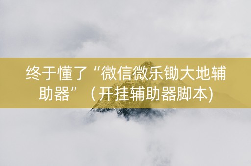终于懂了“微信微乐锄大地辅助器”（开挂辅助器脚本)