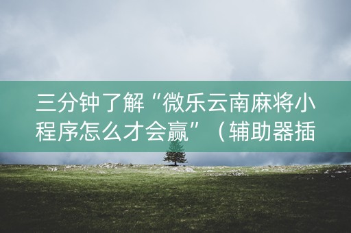 三分钟了解“微乐云南麻将小程序怎么才会赢”（辅助器插件)