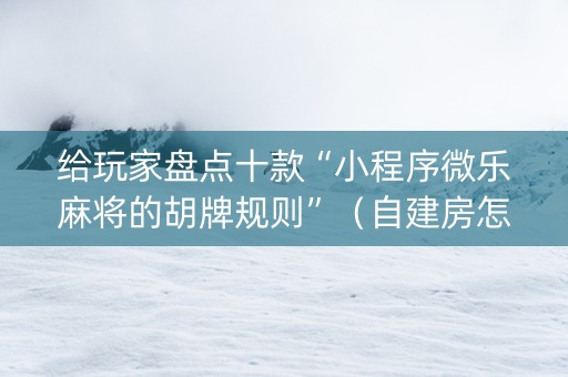 给玩家盘点十款“小程序微乐麻将的胡牌规则”（自建房怎么拿好牌)