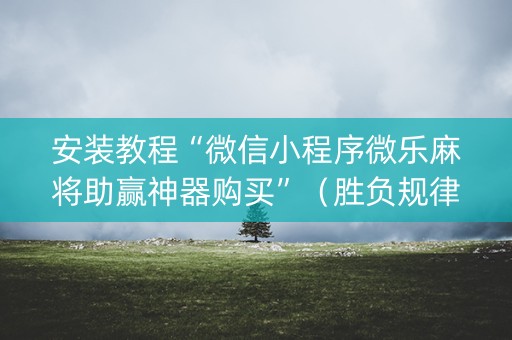 安装教程“微信小程序微乐麻将助赢神器购买”（胜负规律拿好牌)