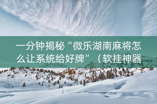 一分钟揭秘“微乐湖南麻将怎么让系统给好牌”（软挂神器)