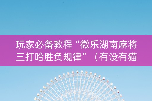 玩家必备教程“微乐湖南麻将三打哈胜负规律”（有没有猫腻)